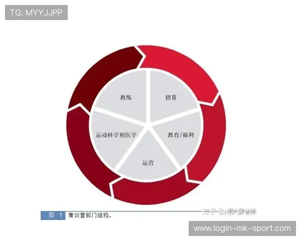 2026年篮球联赛青训营志愿者管理系统新增心理支持资源库,篮球赛志愿者招募
